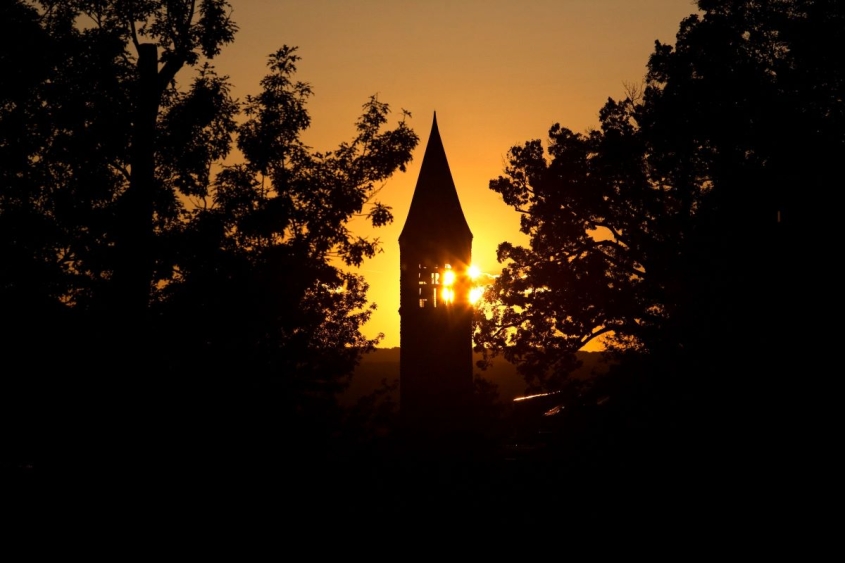 CVM graduate students, faculty member, receive awards for inclusive